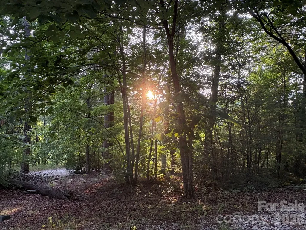 4733 Bat Cave Road Old Fort NC 28762