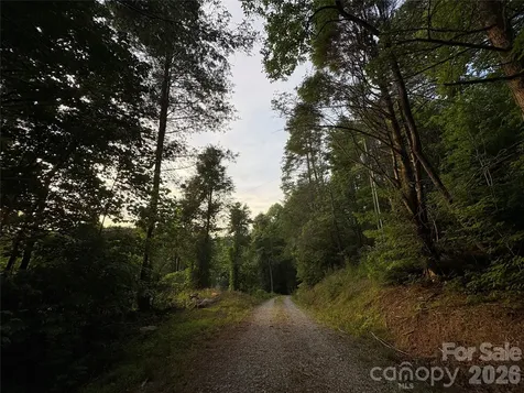 4733 Bat Cave Road Old Fort NC 28762
