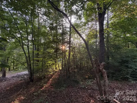4733 Bat Cave Road Old Fort NC 28762