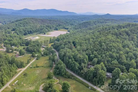 4733 Bat Cave Road Old Fort NC 28762