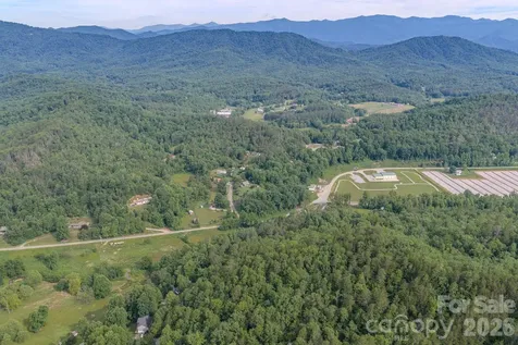 4733 Bat Cave Road Old Fort NC 28762
