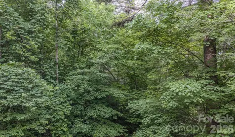 4733 Bat Cave Road Old Fort NC 28762