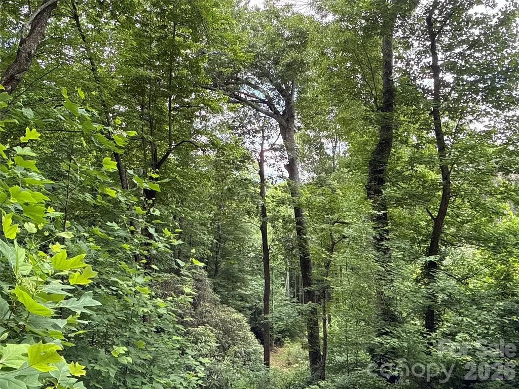 9999 Sunset Drive Black Mountain NC 28711