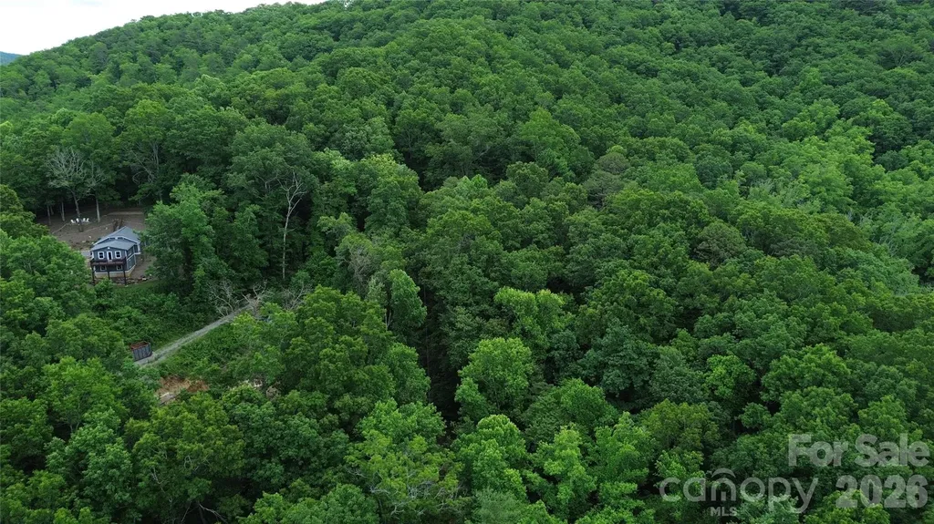 9999 Sunset Drive Black Mountain NC 28711