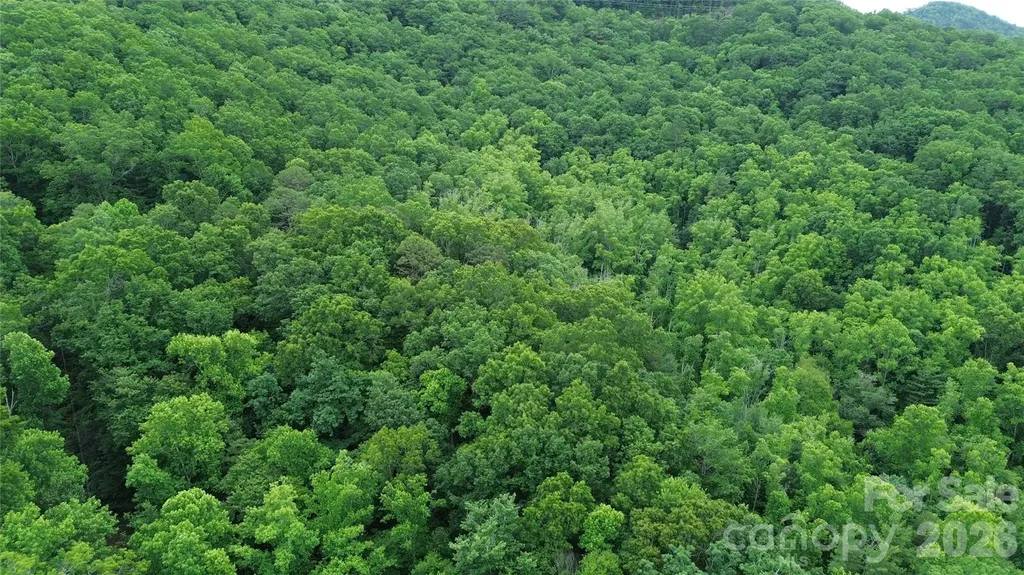 9999 Sunset Drive Black Mountain NC 28711