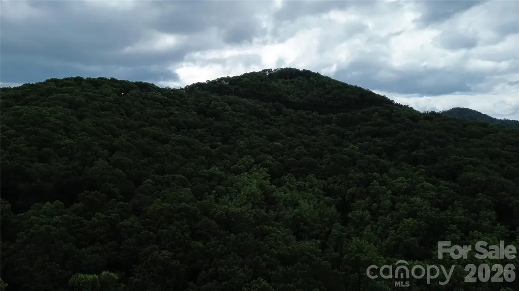 9999 Sunset Drive Black Mountain NC 28711