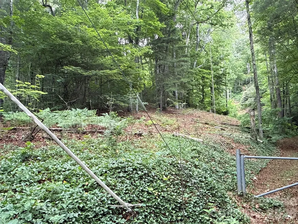9999 Sunset Drive Black Mountain NC 28711