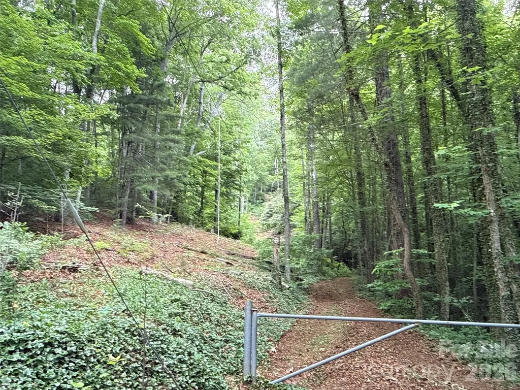 9999 Sunset Drive Black Mountain NC 28711
