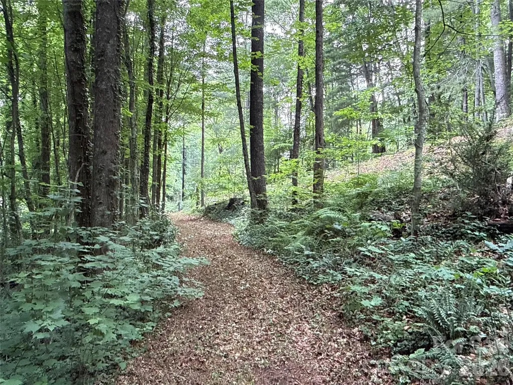9999 Sunset Drive Black Mountain NC 28711