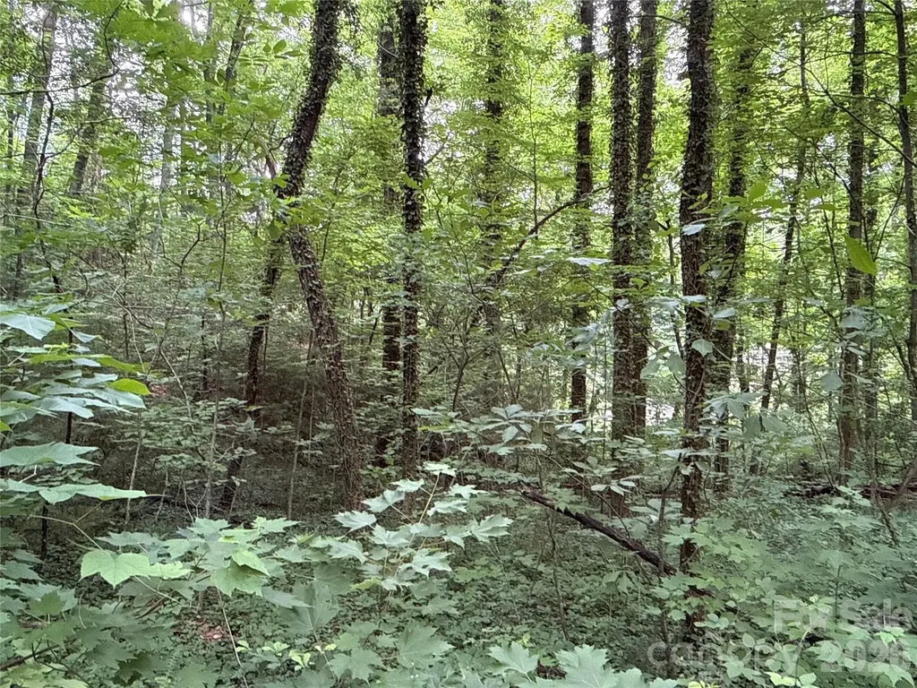 9999 Sunset Drive Black Mountain NC 28711
