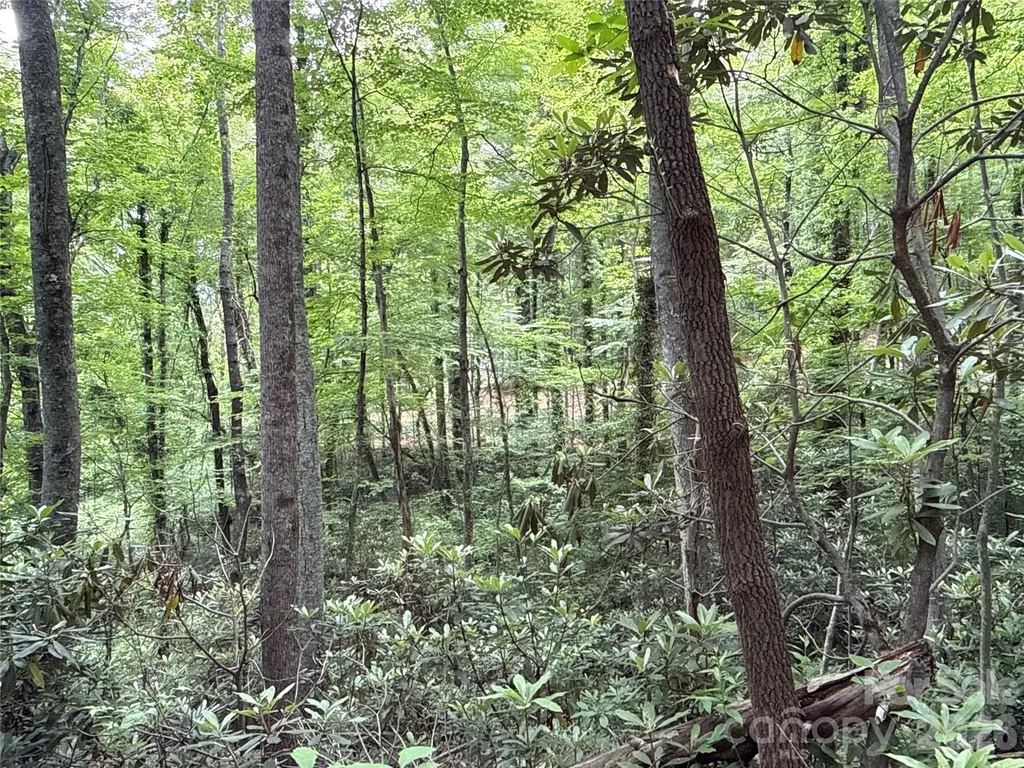 9999 Sunset Drive Black Mountain NC 28711