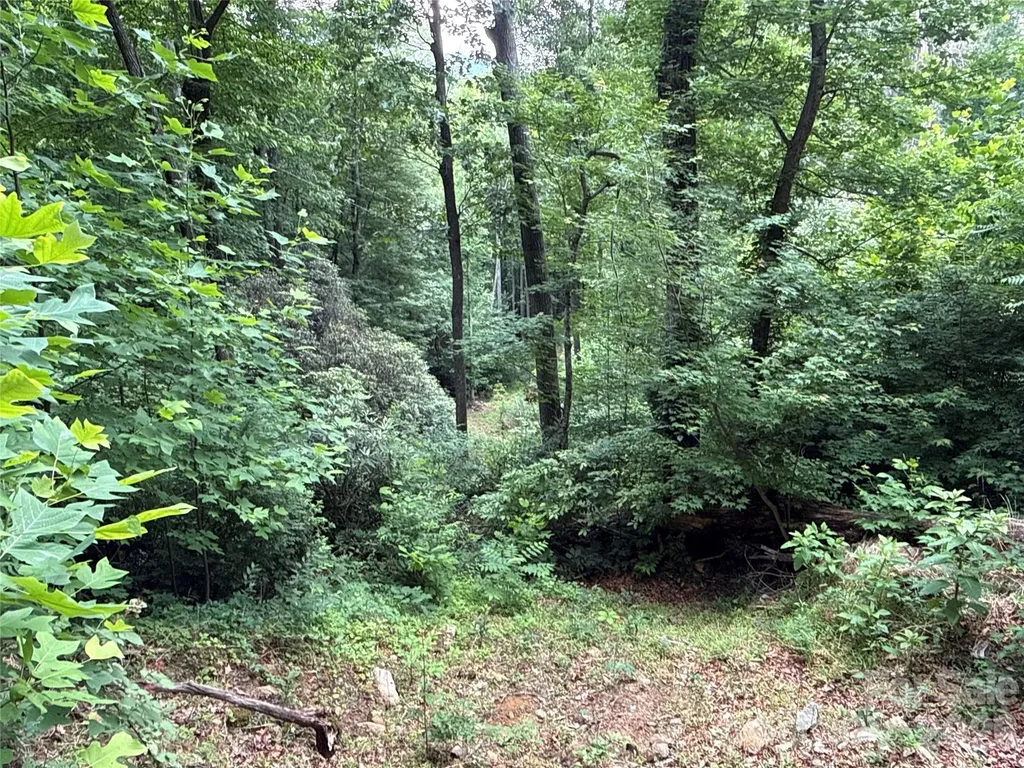 9999 Sunset Drive Black Mountain NC 28711
