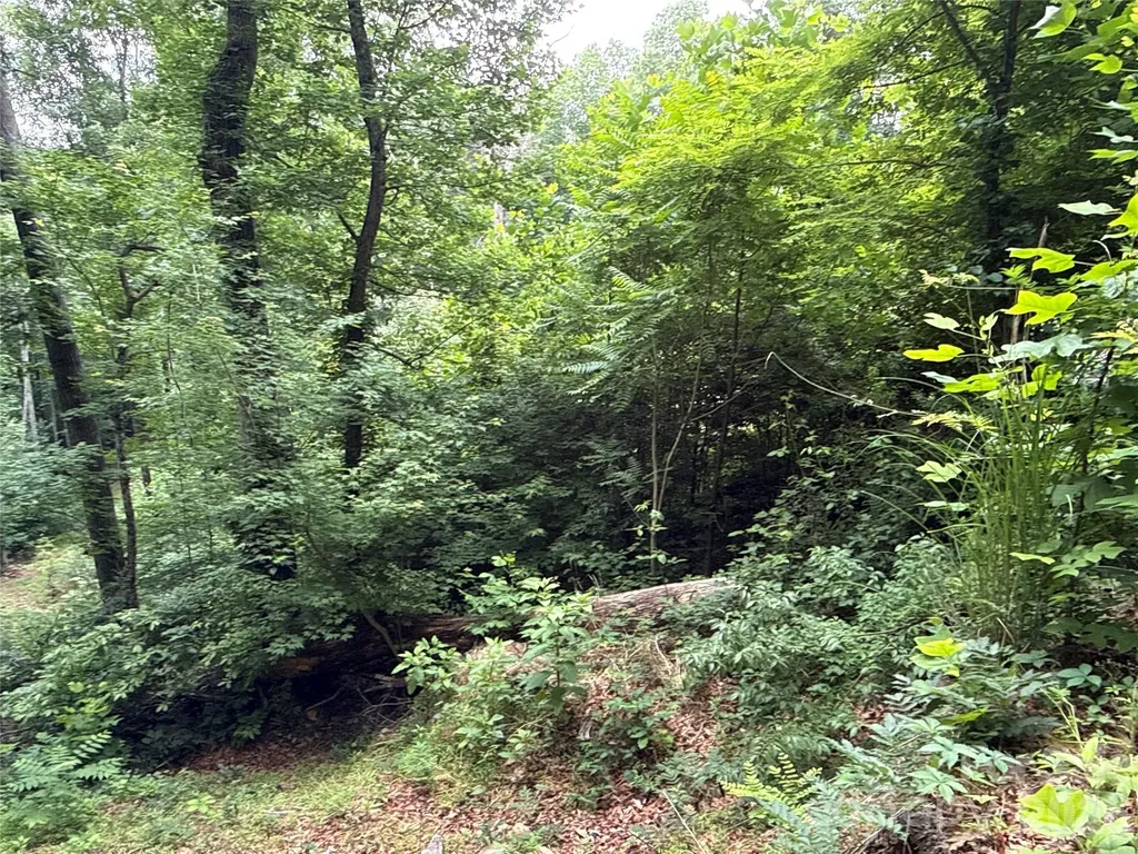 9999 Sunset Drive Black Mountain NC 28711