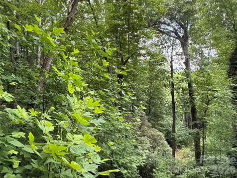 9999 Sunset Drive Black Mountain NC 28711
