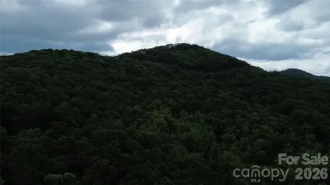 9999 Sunset Drive Black Mountain NC 28711