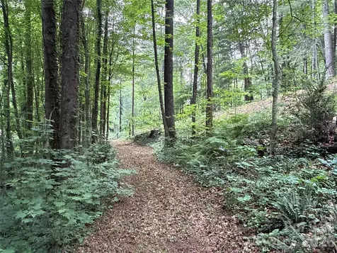 9999 Sunset Drive Black Mountain NC 28711