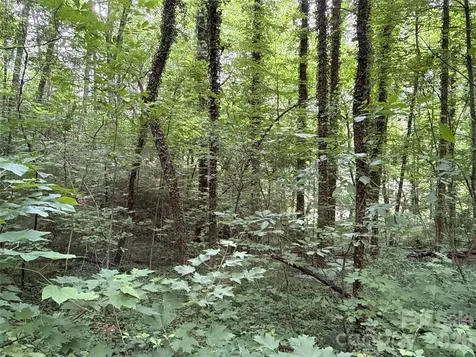 9999 Sunset Drive Black Mountain NC 28711