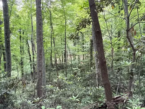 9999 Sunset Drive Black Mountain NC 28711