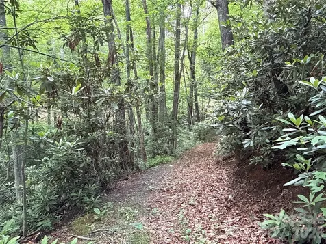 9999 Sunset Drive Black Mountain NC 28711
