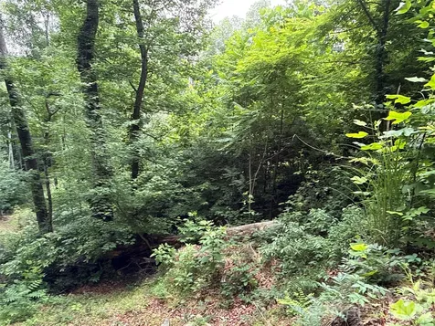 9999 Sunset Drive Black Mountain NC 28711