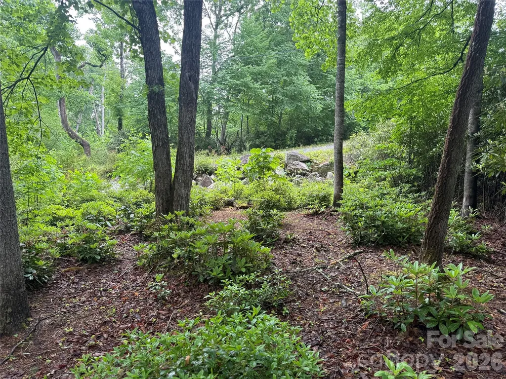 Tbd Dogwood Trail Spruce Pine NC 28777