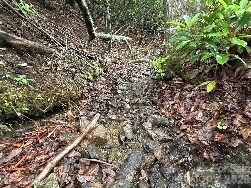 Tbd Dogwood Trail Spruce Pine NC 28777