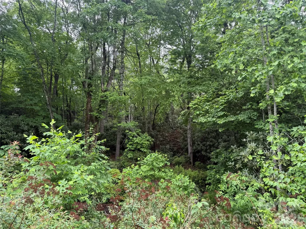 Tbd Dogwood Trail Spruce Pine NC 28777