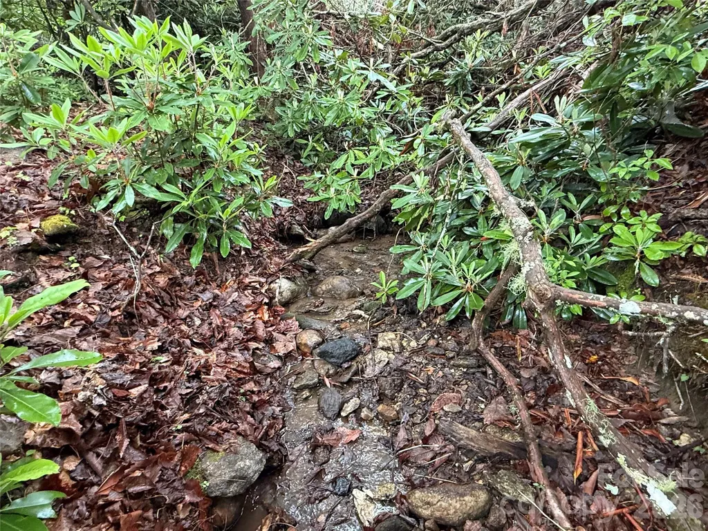 Tbd Dogwood Trail Spruce Pine NC 28777