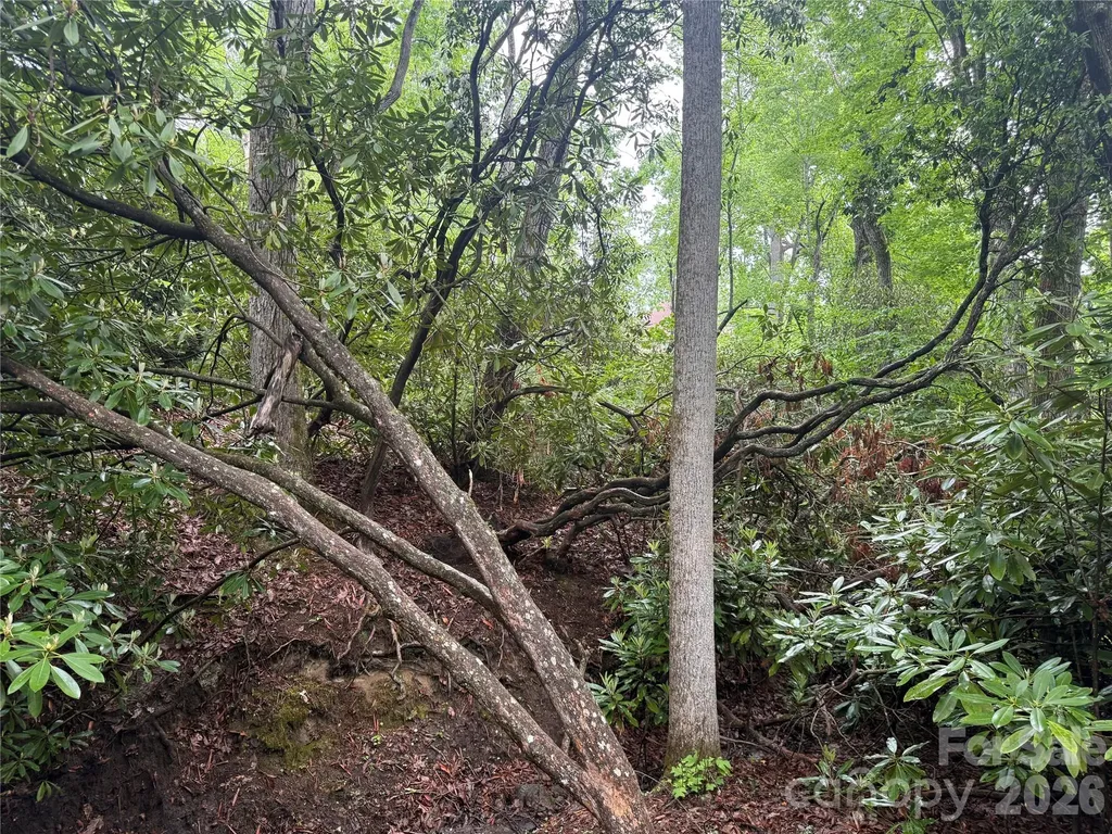Tbd Dogwood Trail Spruce Pine NC 28777