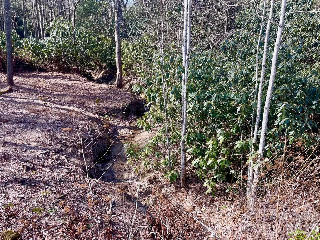 Tbd Dogwood Trail Spruce Pine NC 28777