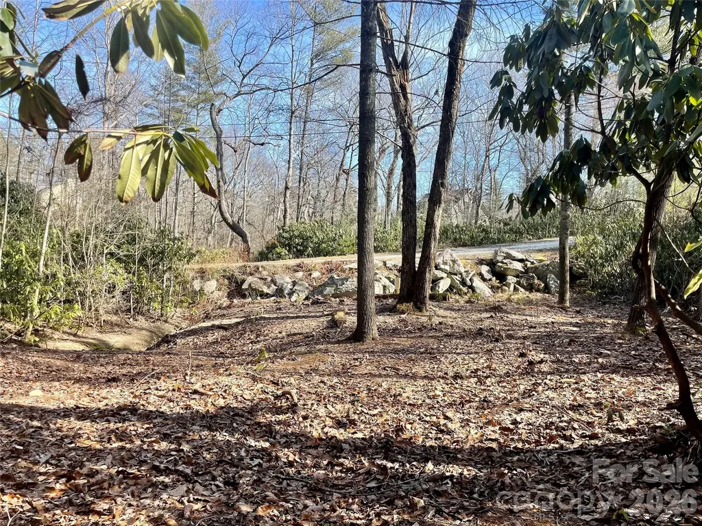 Tbd Dogwood Trail Spruce Pine NC 28777