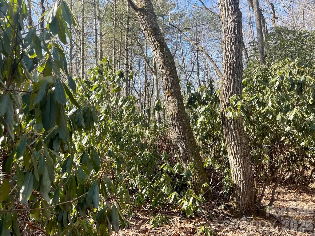 Tbd Dogwood Trail Spruce Pine NC 28777