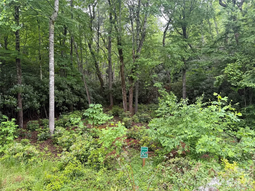 Tbd Dogwood Trail Spruce Pine NC 28777