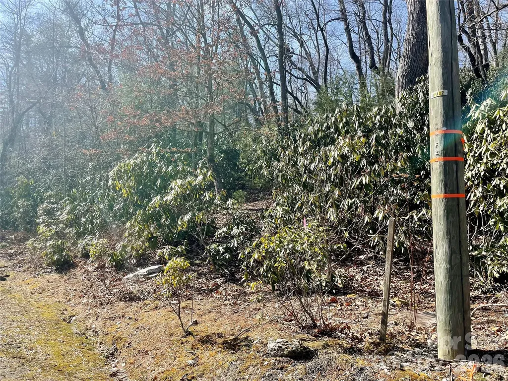 Tbd Dogwood Trail Spruce Pine NC 28777
