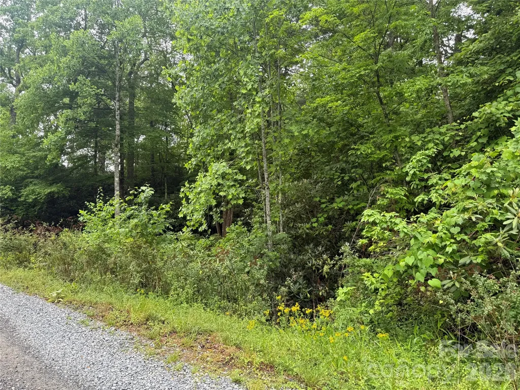 Tbd Dogwood Trail Spruce Pine NC 28777