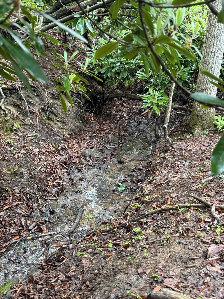 Tbd Dogwood Trail Spruce Pine NC 28777