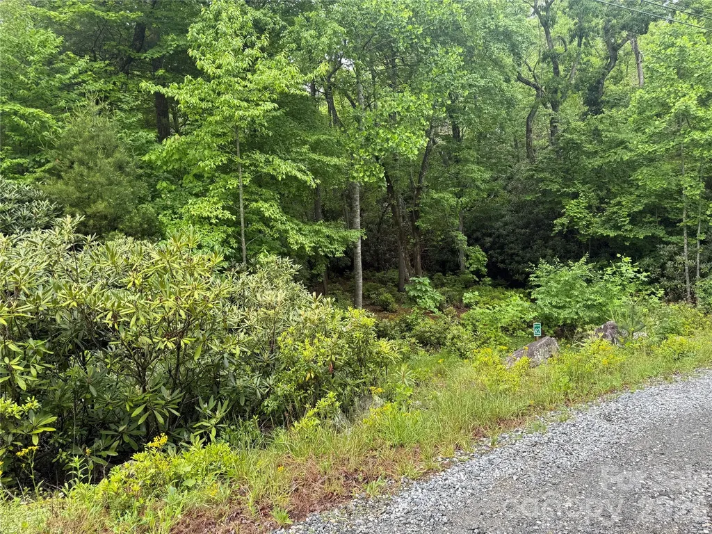 Tbd Dogwood Trail Spruce Pine NC 28777