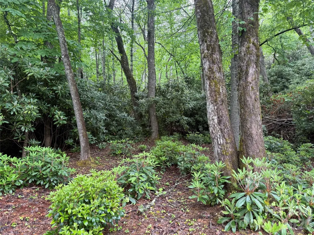 Tbd Dogwood Trail Spruce Pine NC 28777