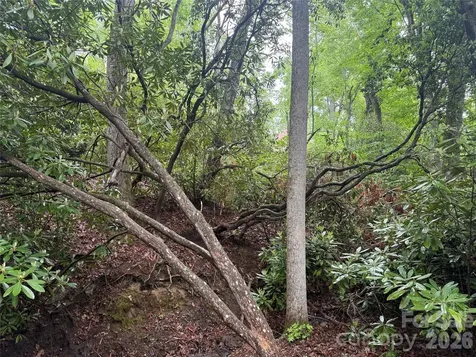 Tbd Dogwood Trail Spruce Pine NC 28777