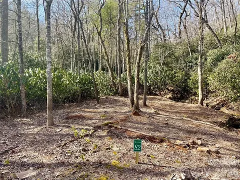 Tbd Dogwood Trail Spruce Pine NC 28777