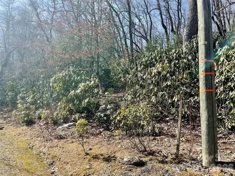 Tbd Dogwood Trail Spruce Pine NC 28777