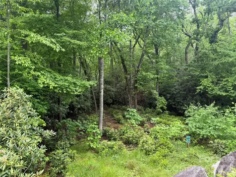 Tbd Dogwood Trail Spruce Pine NC 28777