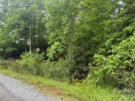 Tbd Dogwood Trail Spruce Pine NC 28777