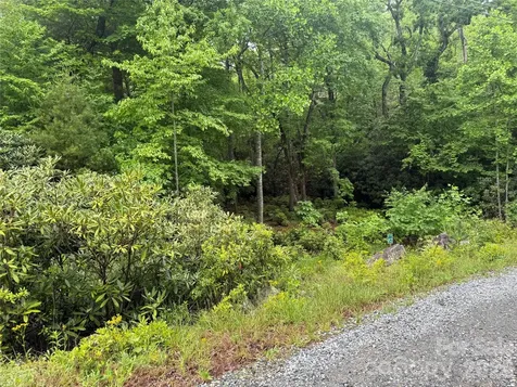Tbd Dogwood Trail Spruce Pine NC 28777