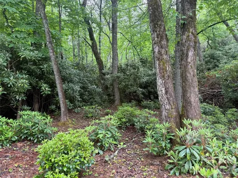 Tbd Dogwood Trail Spruce Pine NC 28777