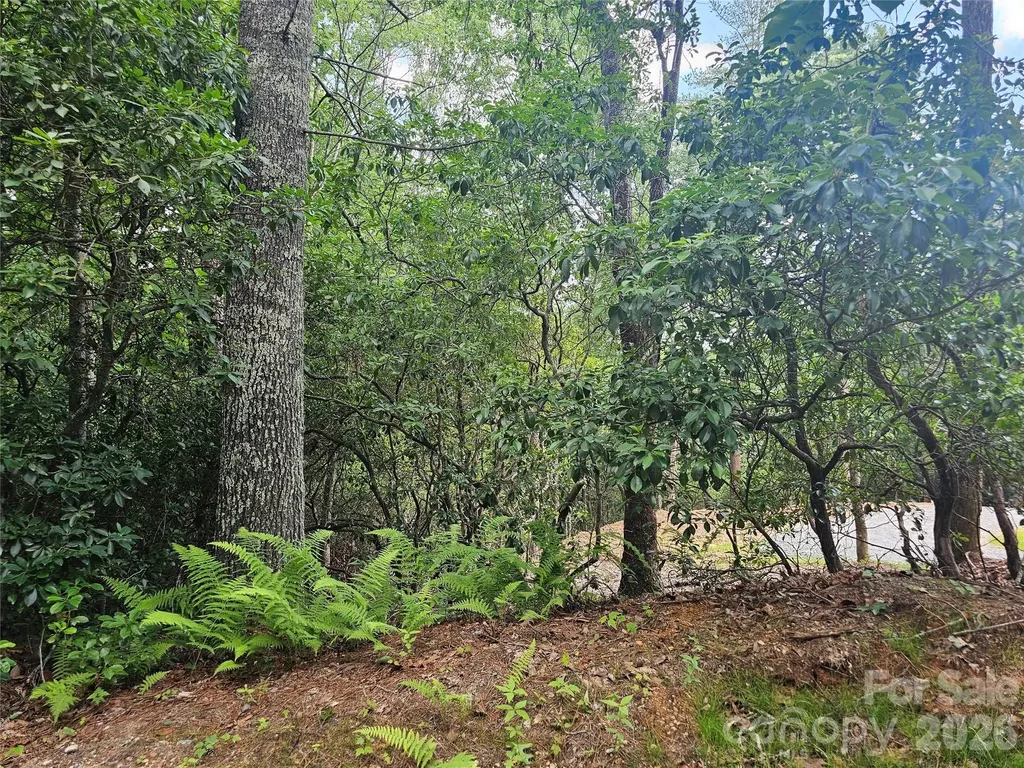 171 Duff Cove Road Brevard NC 28712