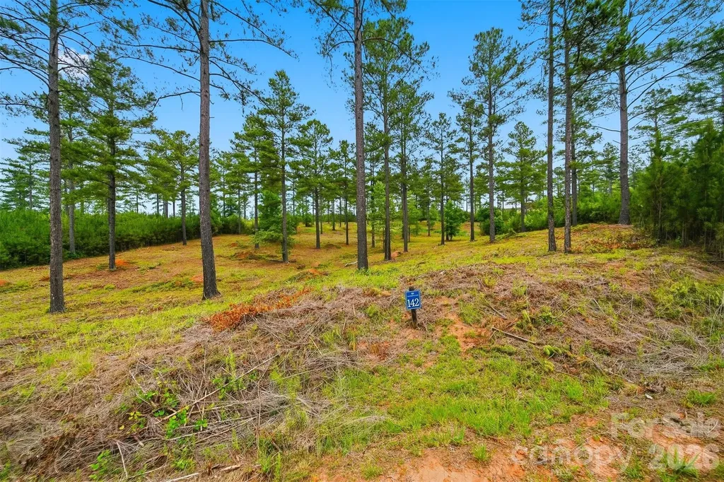 1776 Cove Side Drive Granite Falls NC 28630