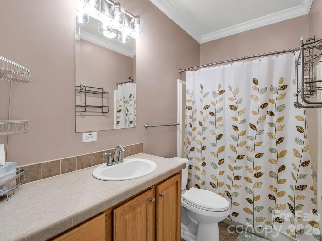 2255 Mount Olivet Road Zirconia NC 28790