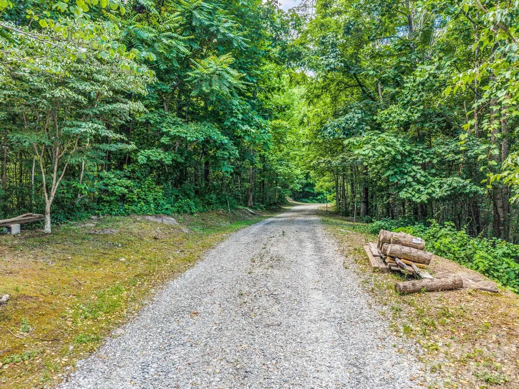 2255 Mount Olivet Road Zirconia NC 28790