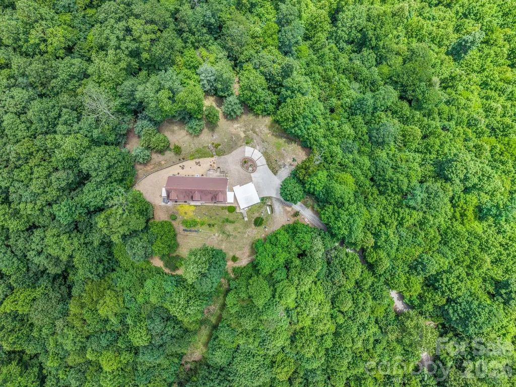 2255 Mount Olivet Road Zirconia NC 28790